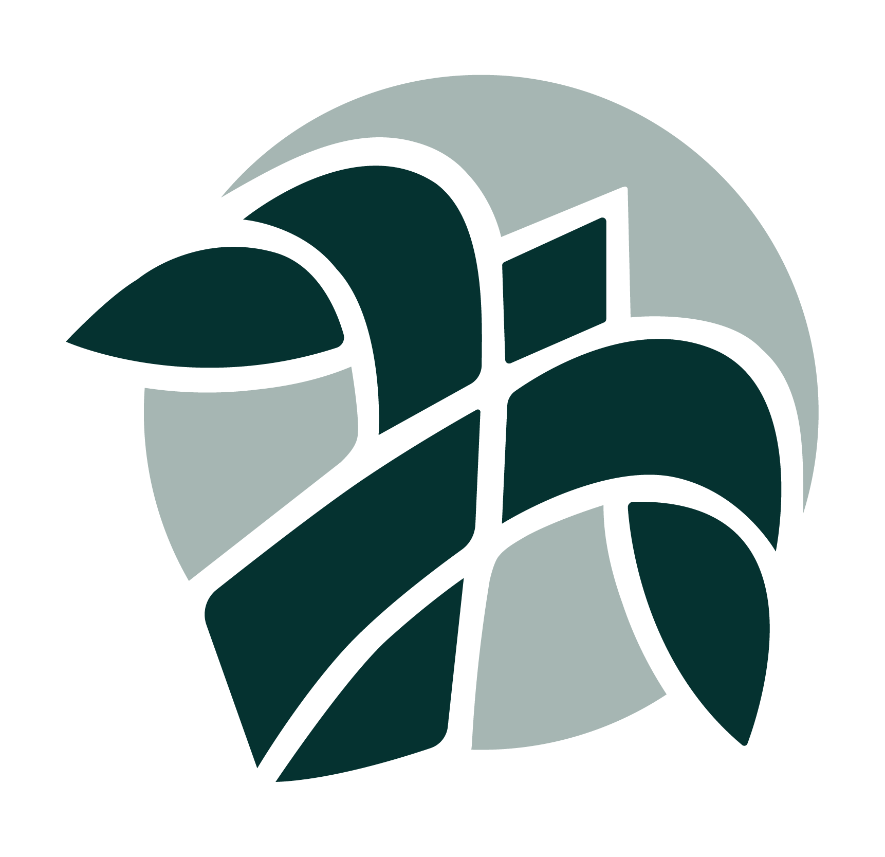 The logo for "Dr. Jenny Shields" embossed without a background.